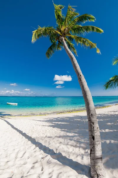 Beyaz kumları ve okyanusları olan lüks Palm Beach. Tropikal tatil — Stok fotoğraf