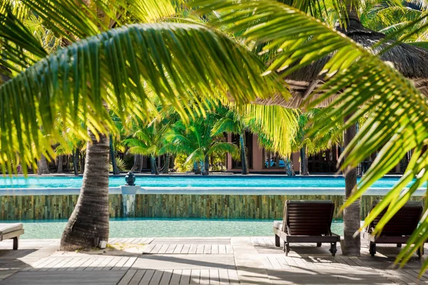 Palm luxusní resort s palmami, bazén a lehátko. Tropická dovolená — Stock fotografie