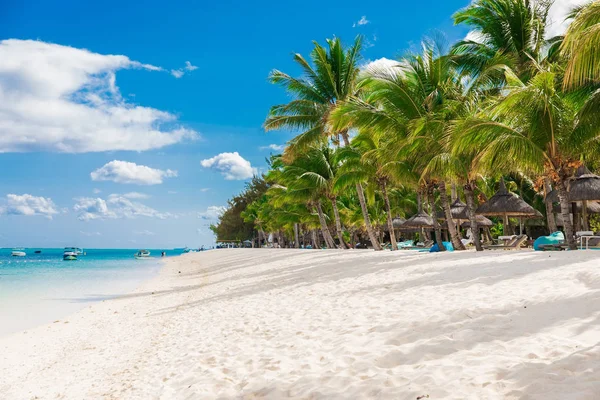 Playa de lujo en Mauricio. Playa de arena con palmeras y océano — Foto de Stock