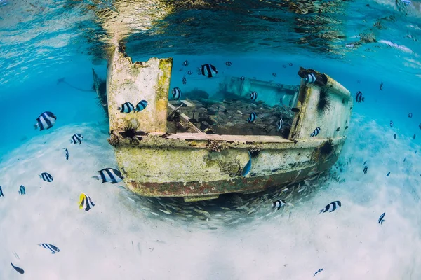 Океанська сцена з уламками човна на піщаному дні та школою риб — стокове фото