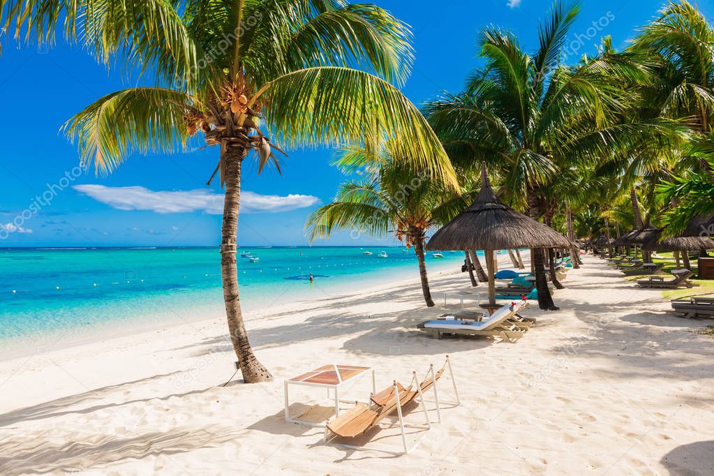 Chairs and umbrella at luxury palm beach. Tropical holiday banne