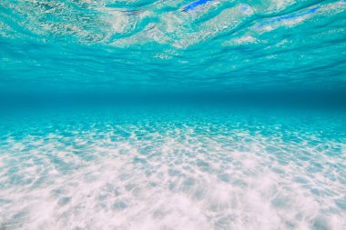 Hawaii 'de su altında kum bulunan tropik şeffaf okyanus