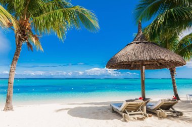 Sanddy Beach 'te avuç içli sandalye ve şemsiye. Tatil afişi