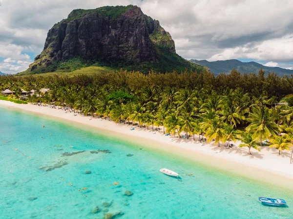 Mauritius 'ta dağlı lüks bir plaj. Palmiyeli kumsal 