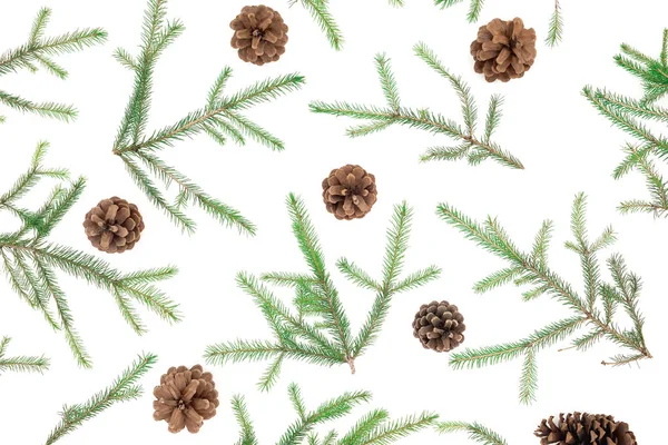 WH 위에 있는 전나무 가지와 솔방울로 만든 크리스마스 무늬 — 스톡 사진