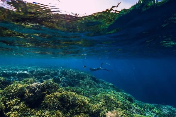 深海での無料ダイバーダイビング、岩や共同で水中ビュー — ストック写真