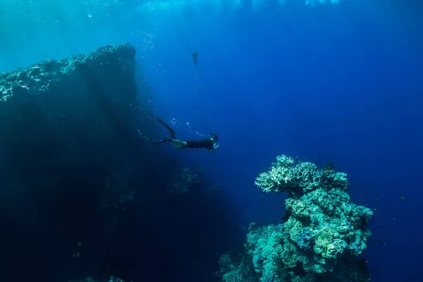 Free diver dive in deep ocean, underwater view with rocks and co