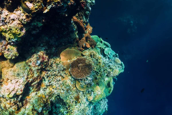 青い透明海にサンゴと魚を持つ水中岩. — ストック写真
