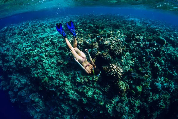 Kobieta freediver z płetwami nurkować pod wodą w tropikalnym morzu — Zdjęcie stockowe