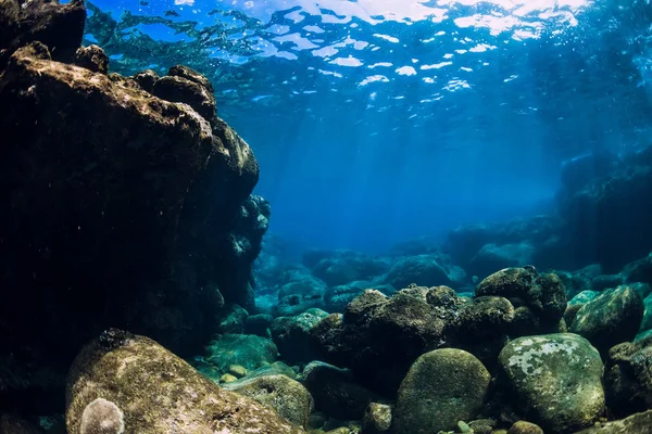 Tranquille scène sous-marine avec espace de copie. Tropical transparent — Photo