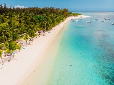 Mauritius 'ta tropik bir sahil. Palmiyeli ve mavi tramvaylı kumsal