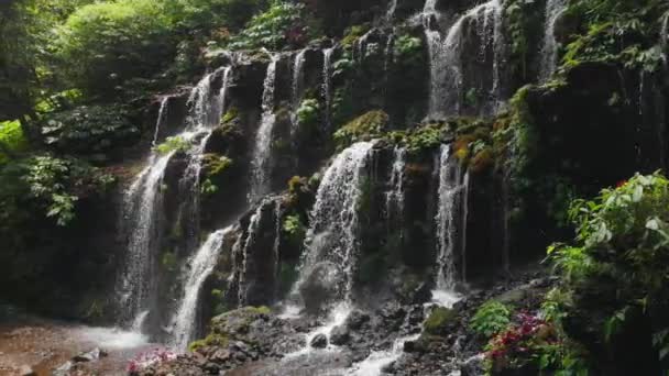 Fantastiskt Vattenfall Tropisk Skog Bali Indonesien Flygbild — Stockvideo