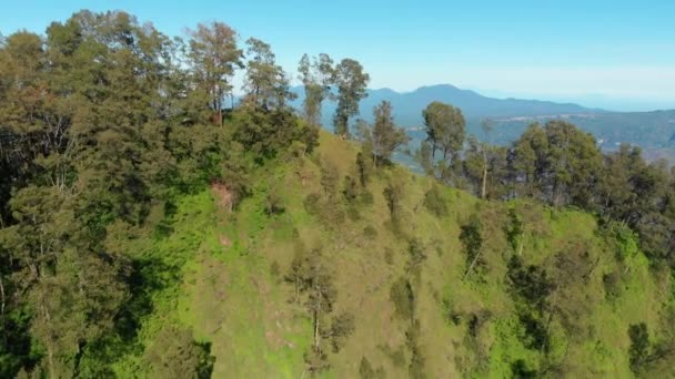 Vista Aérea Vulcão Batur Floresta Com Lago Bali — Vídeo de Stock