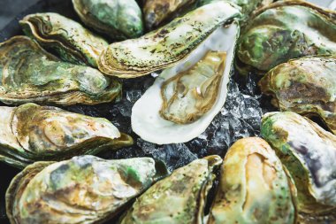 Taze açılmış, buzlu istiridye tabağı. Taze deniz yiyeceği