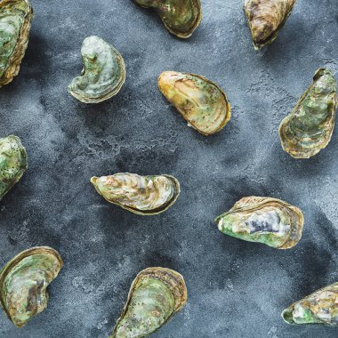 Karanlık arka planda taze istiridye. Deniz ürünleri bileşimi. Düz yatıyordu