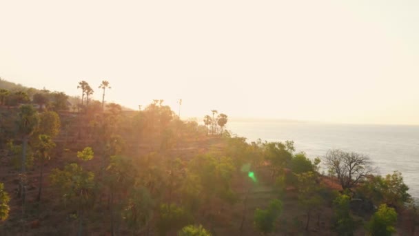 Uitzicht Vanuit Lucht Met Bergen Bomen Zee Bali Bij Zonsondergang — Stockvideo