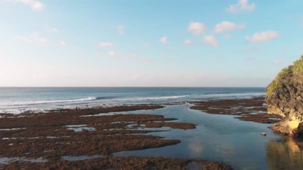 Surfista Scogliera Onde Nell Oceano Vista Aerea Uluwatu — Video Stock