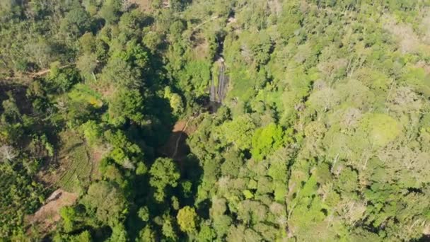 Vista Aérea Con Cascada Una Selva Tropical — Vídeo de stock