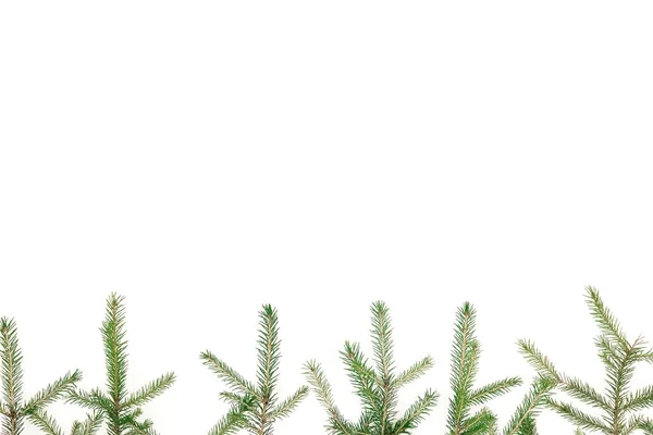 Marco navideño de ramas de abeto sobre fondo blanco. Año Nuevo ba —  Fotos de Stock