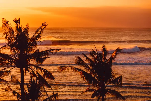 Sunset or sunrise with ocean waves and coconut palm