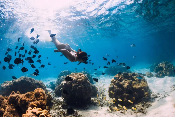 Free diver girl glides with school of fishes in blue sea — Stock Photo, Image
