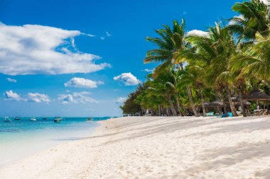 Beyaz kumları, palmiyeleri ve okyanusları olan lüks plajlar. Tropik tatil 