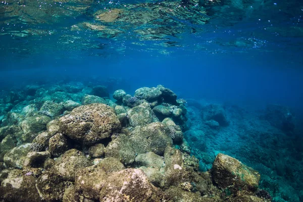 Escena submarina con fondo de piedra. Océano tropical transparente — Foto de Stock