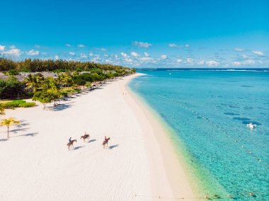 Mauritius 'ta lüks tropikal plajlar. Palmiyeli tatil plajı ve