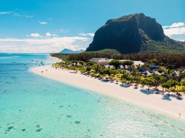 Mauritius 'ta dağlı lüks bir plaj. Avuçları ve cr 'si olan plaj