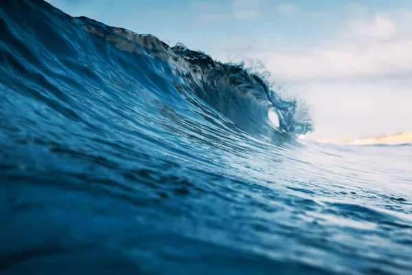在海里冲浪用的梭鱼 突破透明波 — 图库照片