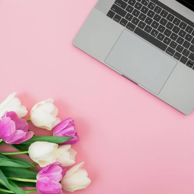 Laptop ve pembe arka planda lale çiçekleri. Düz yatıyordu. Dişi w