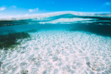 Underwater view of tropical transparent ocean
