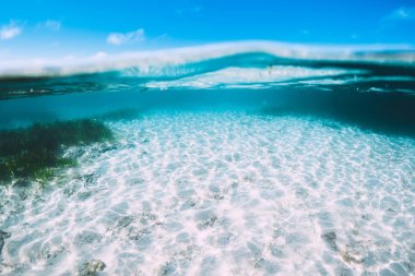 Underwater view of tropical transparent ocean clipart