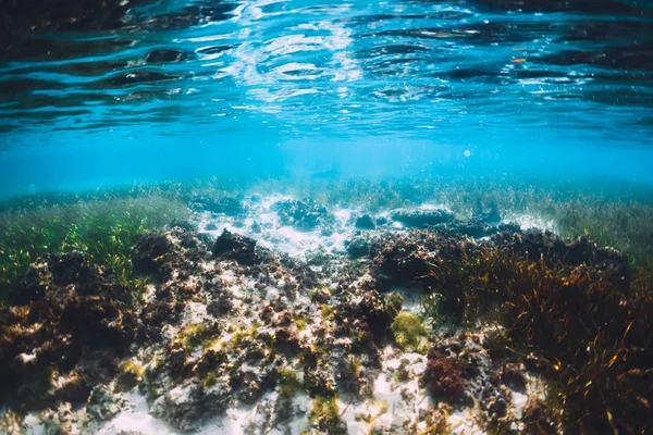 Vista subaquática do oceano tropical transparente — Fotografia de Stock