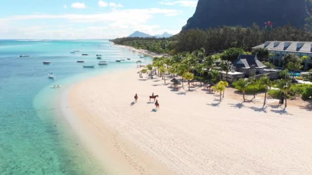 Tropická pláž na Mauriciu. Písečná pláž s palmami a modrým průhledným oceánem. Letecký pohled