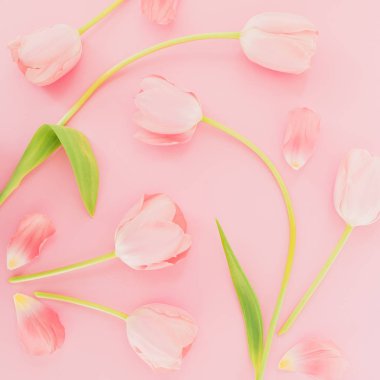 Pembe arka planda lalelerin bahar deseni