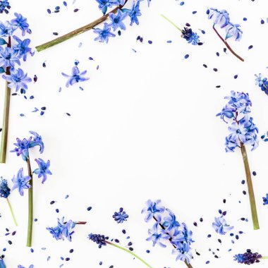Bahar çerçeve mavi bahar çiçekleri ve beyaz sırtta taç yaprakları