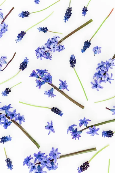 Modré jarní květiny a okvětní lístky na bílém pozadí. Plocha — Stock fotografie