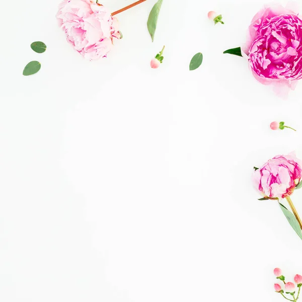 Bloemen frame samenstelling van roze pioenroos en eucalyptus takken w — Stockfoto