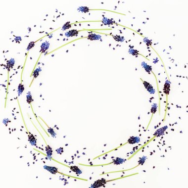 Beyaz arka planda mavi çiçek ve taç yapraklarından oluşan bahar çerçevesi. Fla