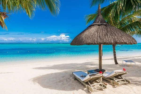 Krzesła i parasol na luksusowej plaży z palmami. — Zdjęcie stockowe