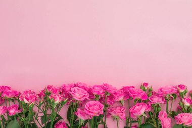 Pembe arka planda pembe gül çiçekleri olan çiçek çerçevesi. Üst Manzara 'da dümdüz yatıyordu. Sevgililer Günü