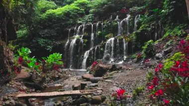 Tropikal ormanda şelale. Bali, Endonezya. Drone görünümü
