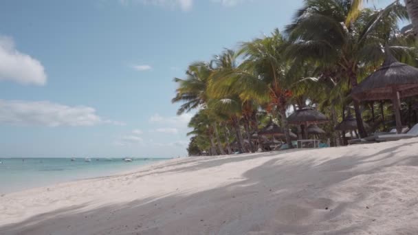 Hermosa Vista Del Complejo Mauricio Playa Arena Palmeras Cielo — Vídeo de stock