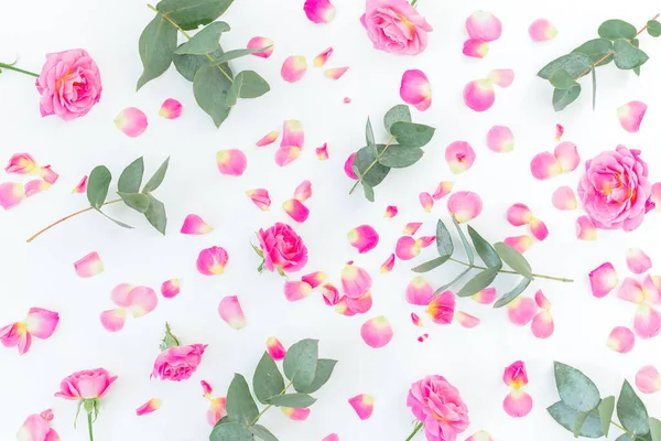 Modello Floreale Con Rose Rosa Eucalipto Isolato Fondo Bianco Posa — Foto Stock