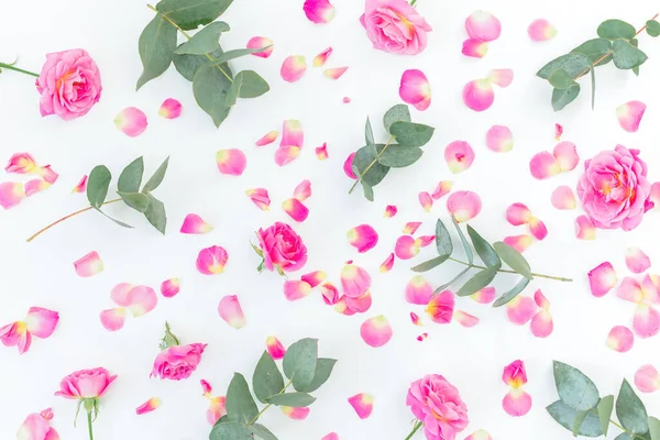 Patrón Floral Con Rosas Rosadas Eucalipto Aislado Sobre Fondo Blanco — Foto de Stock