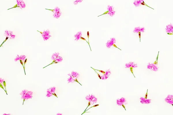 Floral Μοτίβο Ροζ Λουλουδιών Που Απομονώνονται Λευκό Φόντο Επίπεδο Lay — Φωτογραφία Αρχείου
