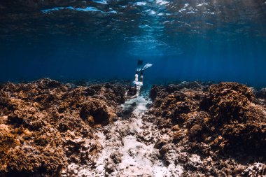 Yüzgeçli bir kadın, mavi okyanusta suyun altında süzülüyor. Okyanusta serbest dalış ya da yüzme