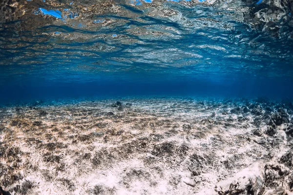 Oceano Tropical Com Corais Incríveis Subaquáticos — Fotografia de Stock