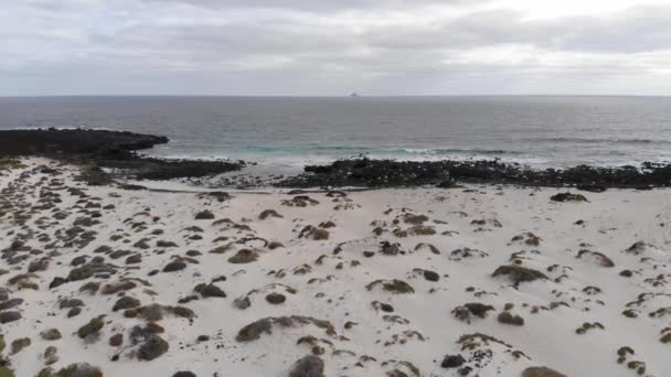 Strand Med Hav Och Svarta Stenar Lanzarote Flygbild — Stockvideo